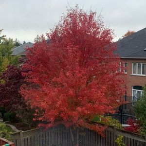 Meet your Posher, Katayoun